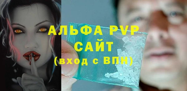 гидра Вяземский