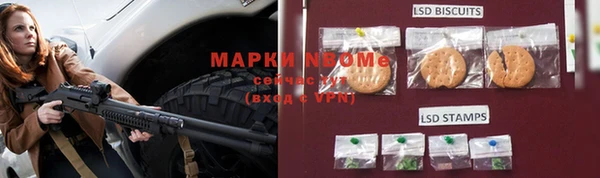 гидра Вяземский