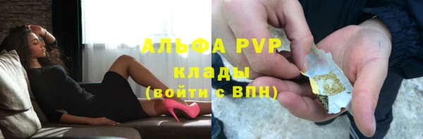 гидра Вяземский