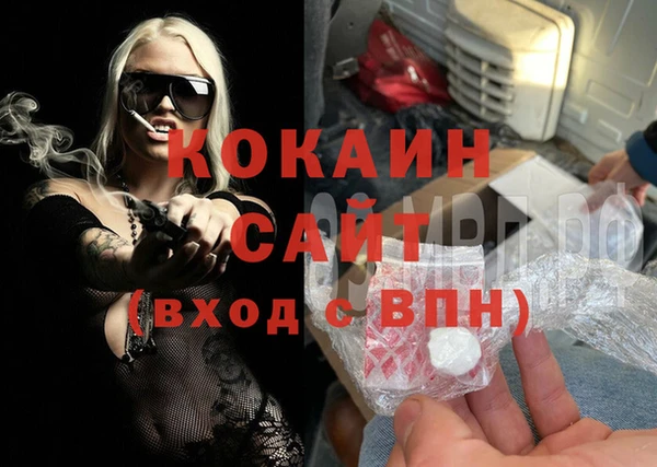 гидра Вяземский