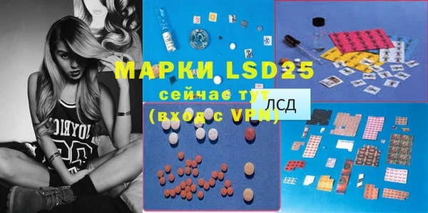 гидра Вяземский