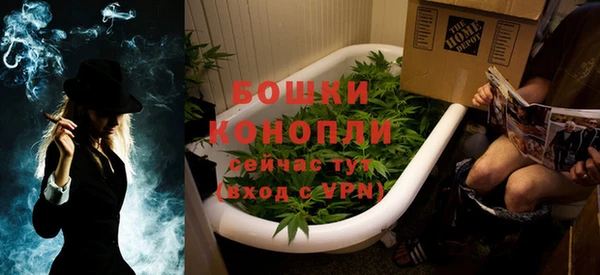 гидра Вяземский