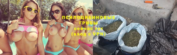 гидра Вяземский