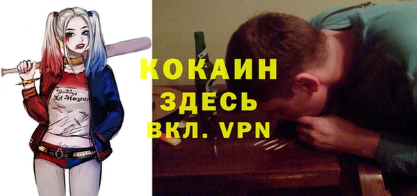 гидра Вяземский