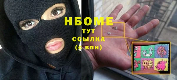 стаф Вязники