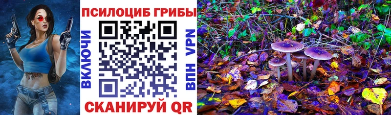 Псилоцибиновые грибы Psilocybe  Наро-Фоминск 
