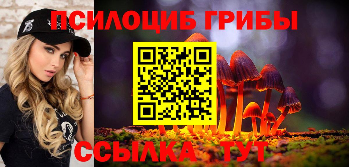 Наро-Фоминск  Псилоцибиновые грибы MAGIC MUSHROOMS  Вход с VPN  Псилоцибиновые грибы мухоморы 